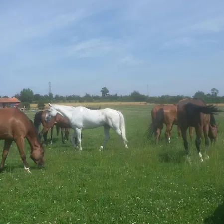 Le Clos Du Mithode * Hesdin-lʼAbbé