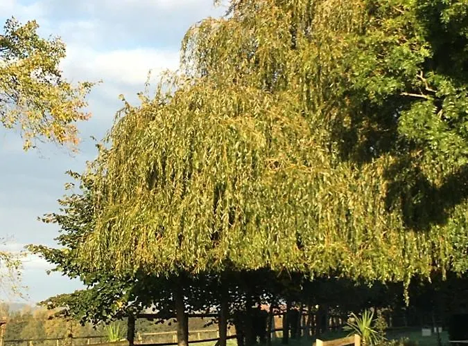 Vakantiehuis Le Clos Du Mithode